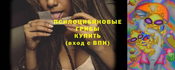 прущие крисы Аркадак