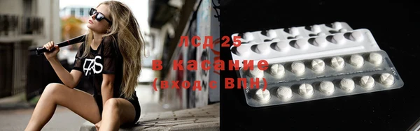 прущие крисы Аркадак