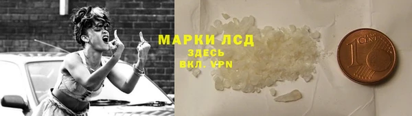 прущие крисы Аркадак