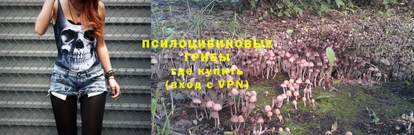 прущие крисы Аркадак