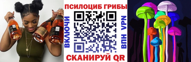 Купить где  Льгов  Галлюциногенные грибы MAGIC MUSHROOMS 